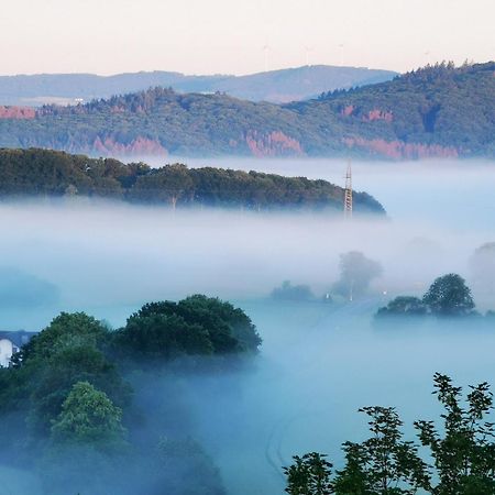 Geraeumige 2-Z Wohnung Im Gruenen, Garten, Terrasse, Ruhig, Natur, Phantastischer Blick! Marburg المظهر الخارجي الصورة