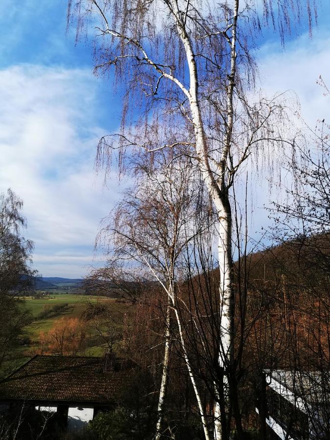 Geraeumige 2-Z Wohnung Im Gruenen, Garten, Terrasse, Ruhig, Natur, Phantastischer Blick! Marburg المظهر الخارجي الصورة