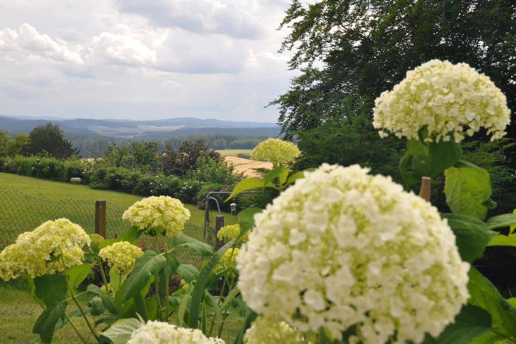 Geraeumige 2-Z Wohnung Im Gruenen, Garten, Terrasse, Ruhig, Natur, Phantastischer Blick! Marburg المظهر الخارجي الصورة