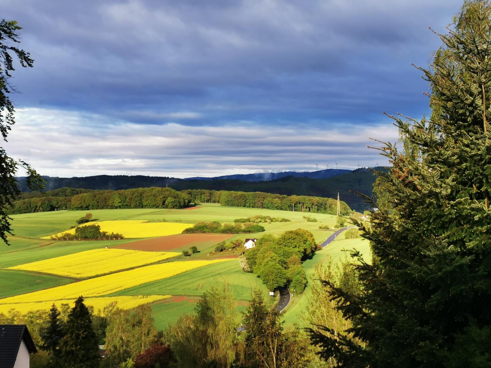 Geraeumige 2-Z Wohnung Im Gruenen, Garten, Terrasse, Ruhig, Natur, Phantastischer Blick! Marburg المظهر الخارجي الصورة